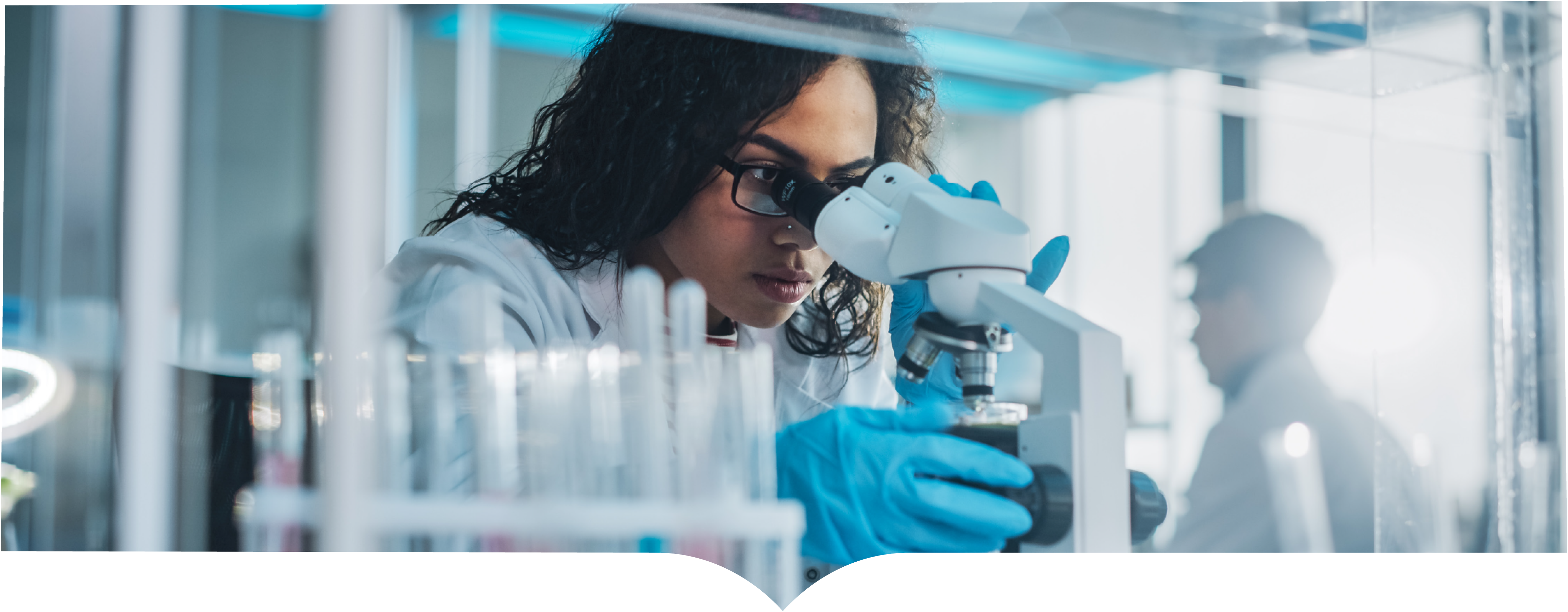 wlp_supergraphic_point_frame_h_rgb_rev